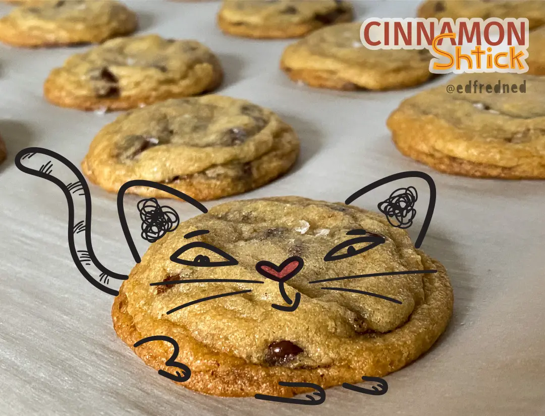 illustration of cat made from a cookie