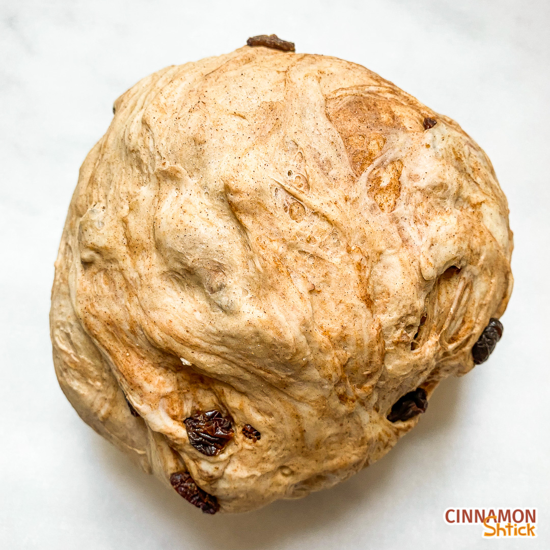 Ball of cinnamon raisin bagel dough