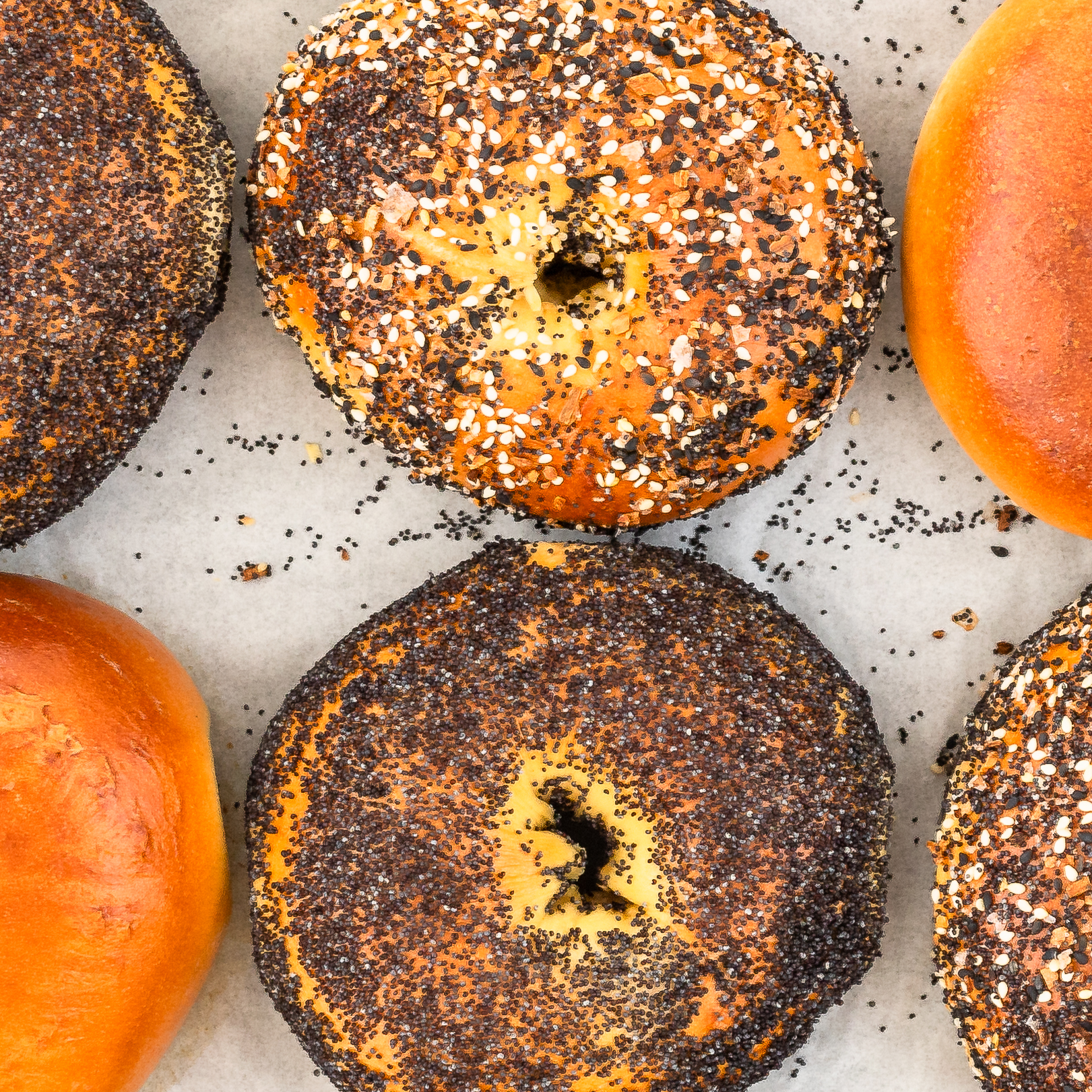 overhead view of egg bagels in two rows