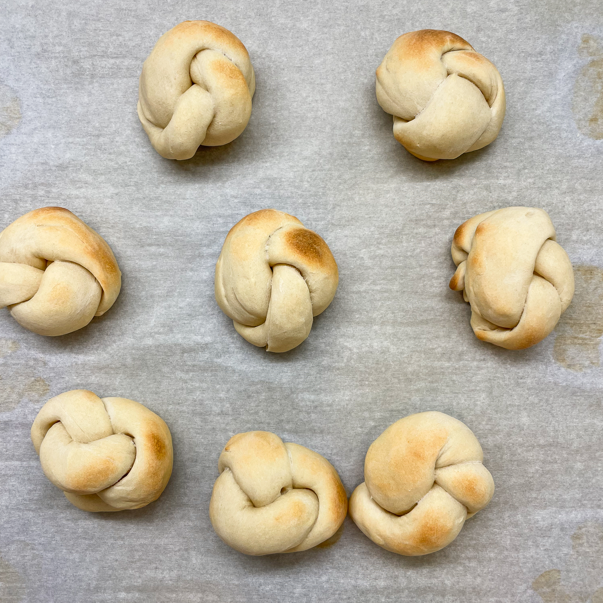 tray of sourdough discard garlic knots just out of the oven showing that they are lightly browned on top