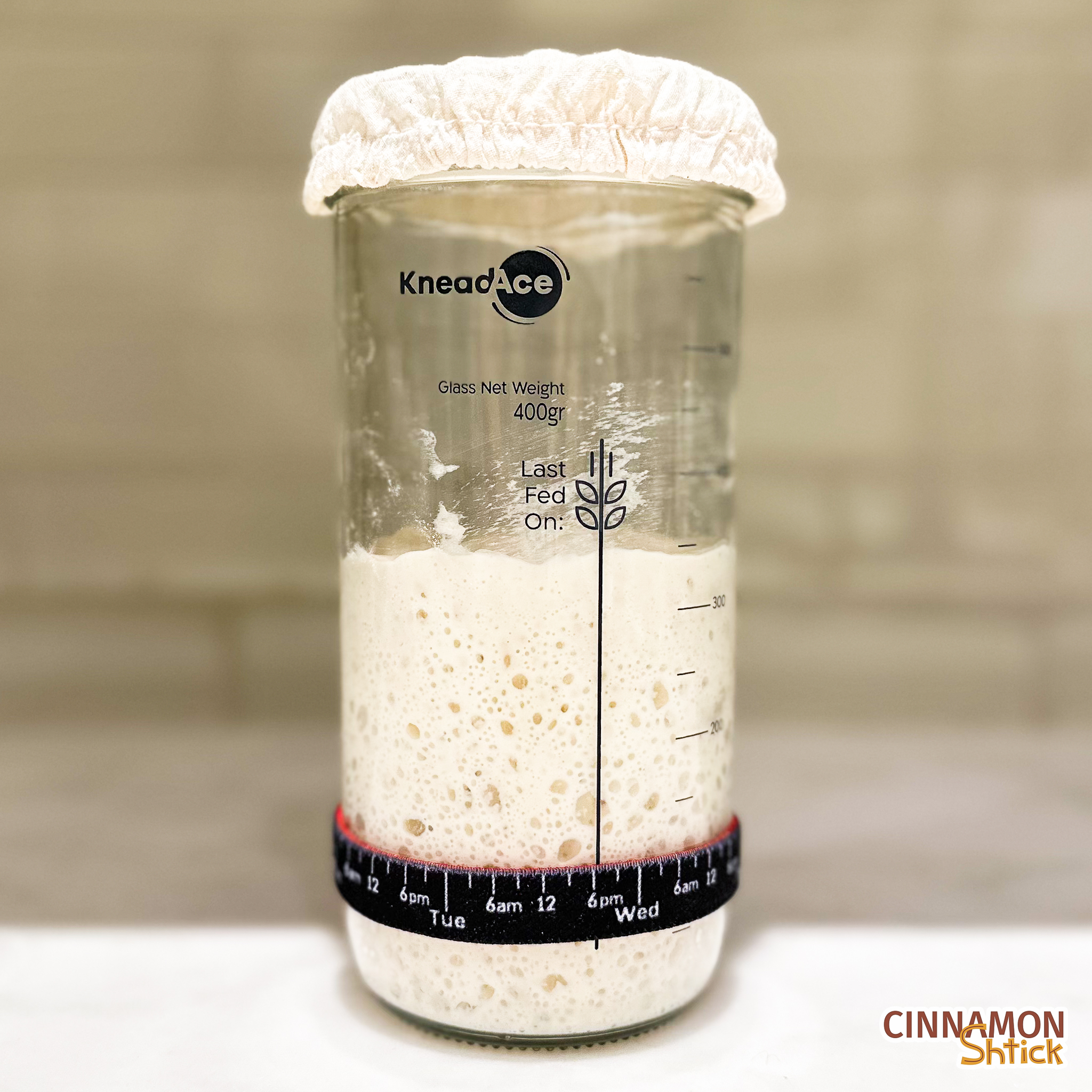 straight on shot of sourdough starter in glass container showing that it has tripled in size