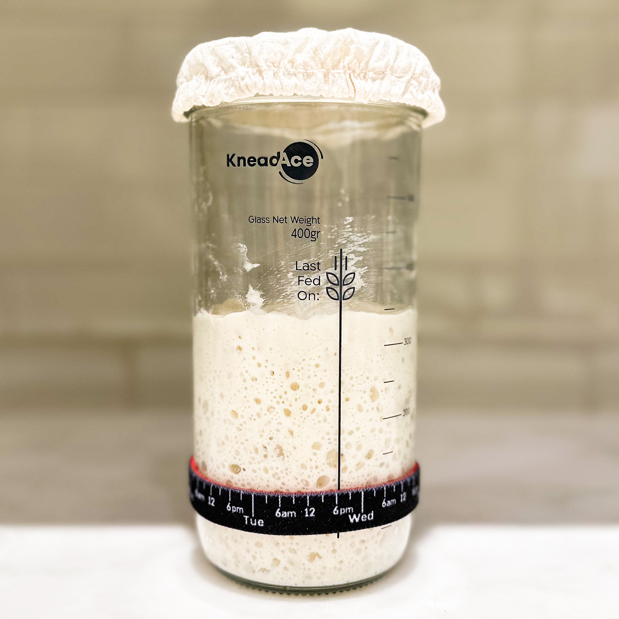 straight on shot of sourdough starter in glass container showing that it has tripled in size