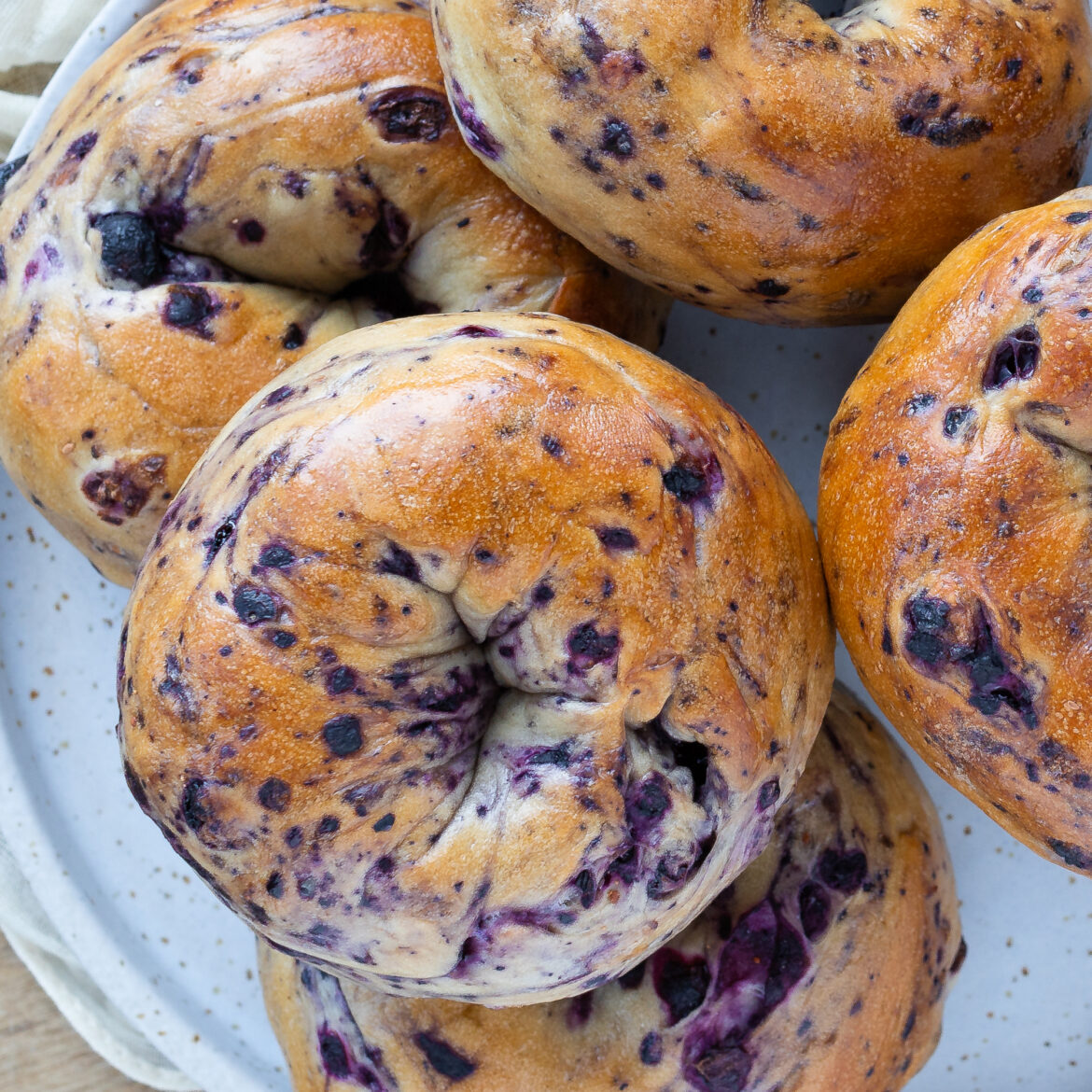 Blueberry Bagels New York Bagels Easy Delicious blueberry-bagels-new-york-bagels-easy-delicious