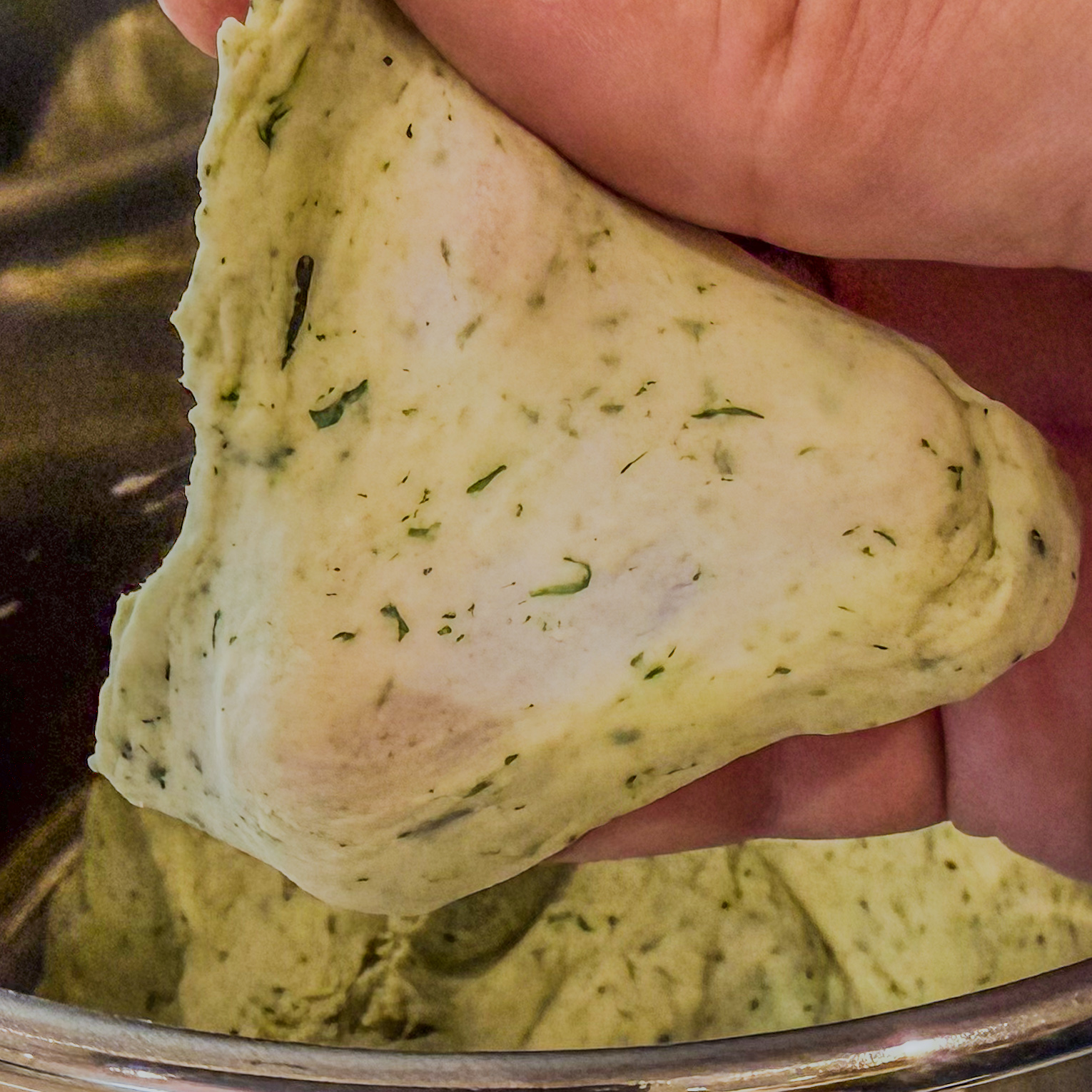 A piece of spinach bagel dough held out showing the windowpane test, that the dough stretches until it is translucent without ripping.
