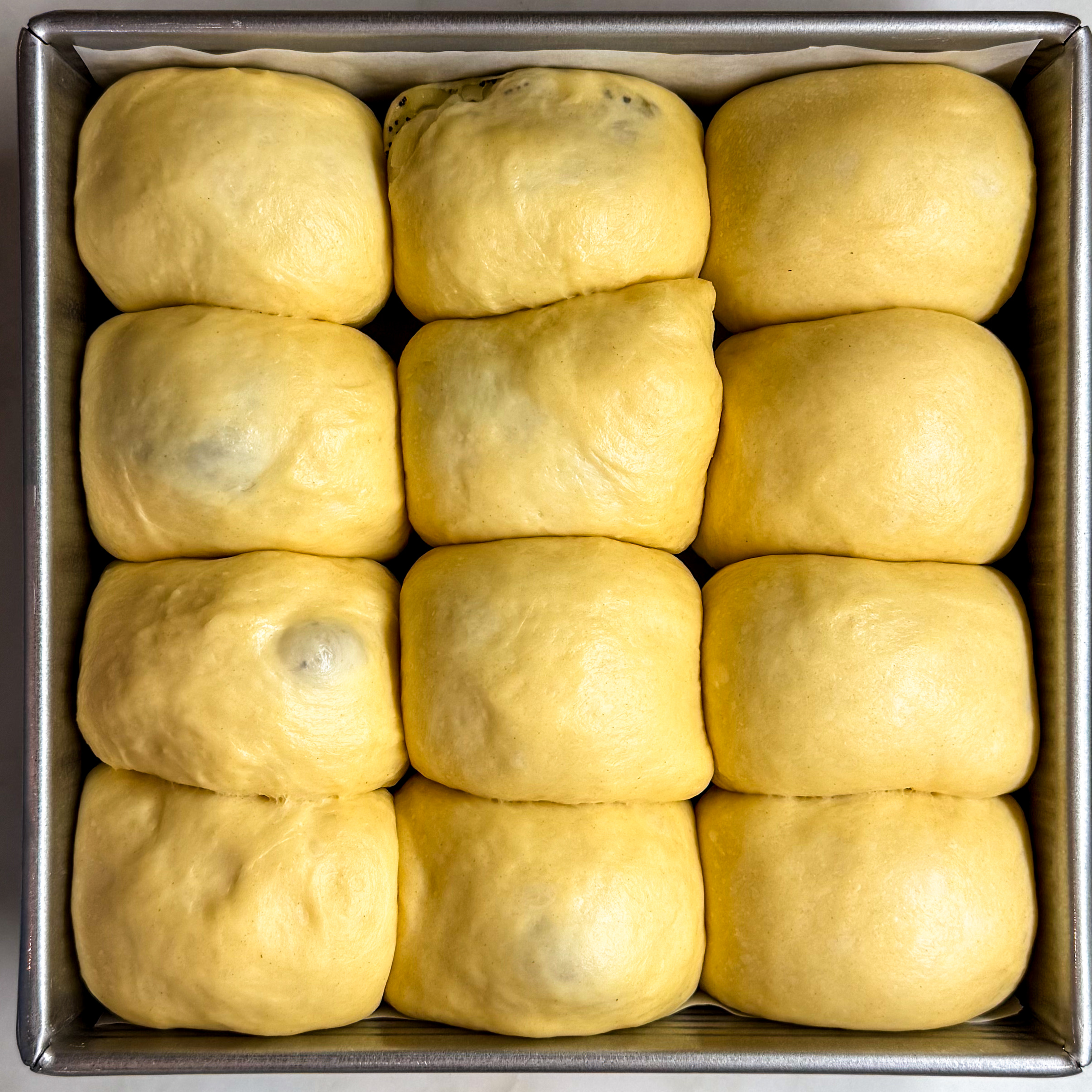 Overhead of the onion rolls after they have fully risen, showing no gaps in the pan.