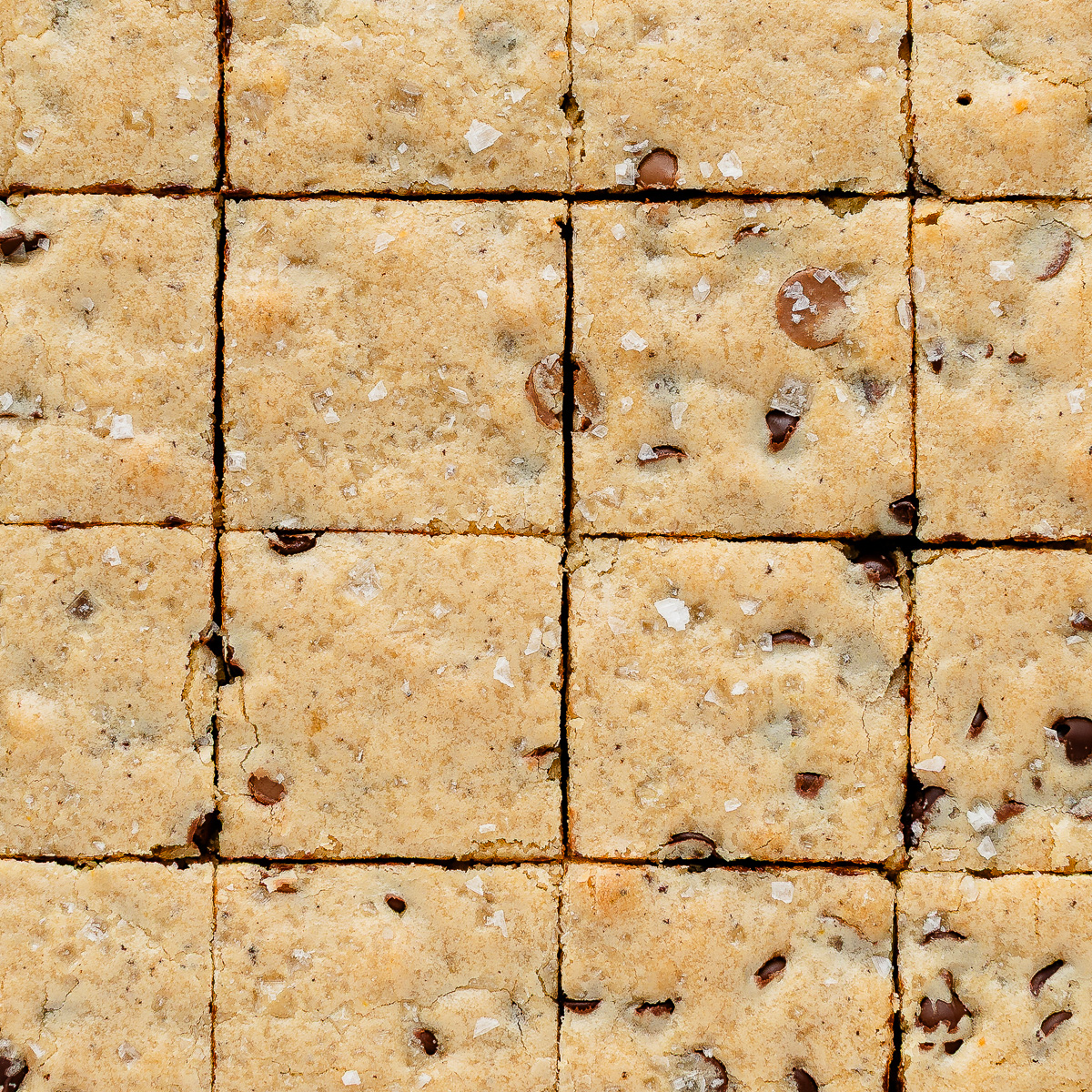 Overhead view of sourdough blondies sliced in squares with flaky sea salt on top.